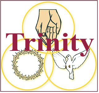 Trinity software training academy